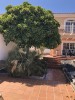 La Colina, Caleta De Fuste - Thumbnail 15