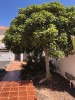 La Colina, Caleta De Fuste - Thumbnail 17