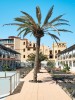 Amaya, Costa De Antigua - Thumbnail 23