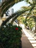 Amaya, Costa De Antigua - Thumbnail 24