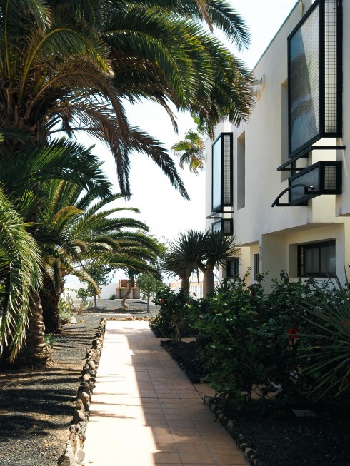 Amaya, Costa De Antigua - Photo 25