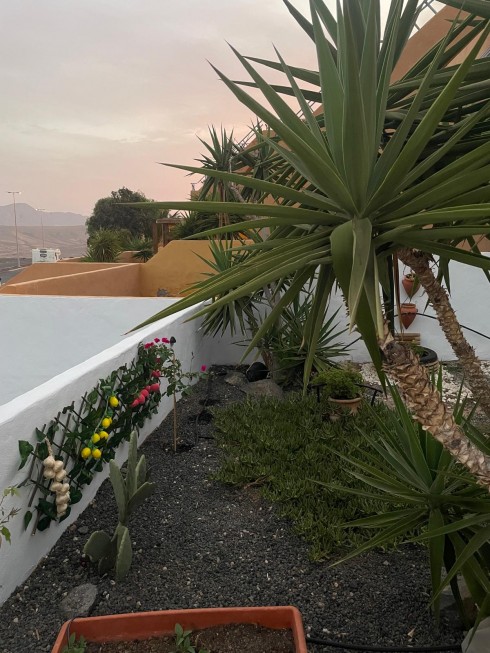 Montaña Blanca, Caleta de Fuste - Photo 20