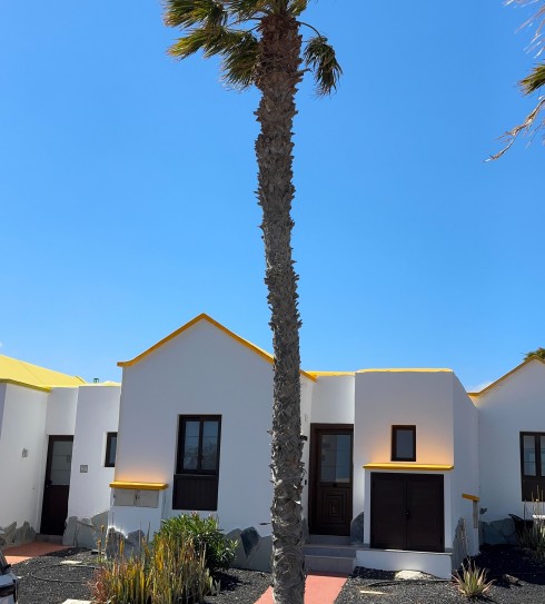 Montecastillo Just 4 Sales. Montecastillo Just 4 Sales.