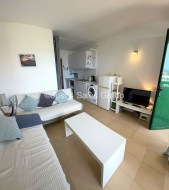 More details of Bouganville