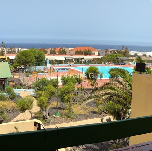 Bouganville, Costa De Antigua - Photo 7
